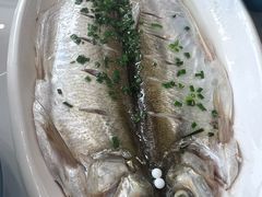 清蒸白鱼-蟹天蟹地农家菜·阳澄湖大闸蟹(浅水湾店)