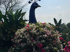 -东莞植物园