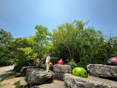 -苏州太湖国家湿地公园