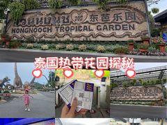 -东芭乐园