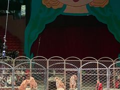 -俄罗斯国家大马戏团