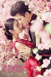 -施华洛婚纱摄影会所(范阳中路店)