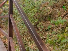 -大芦花风景区