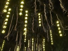-大雁塔北广场音乐喷泉