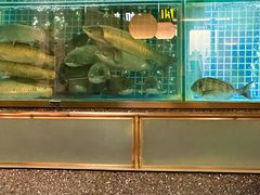 -顺峰顺水顺德菜(龙华店)