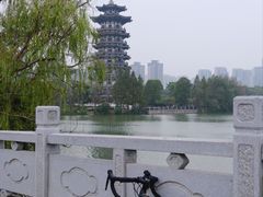 -洋湖国家湿地公园