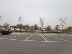 -微山岛春天里酒家