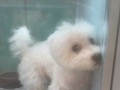 -FAELING PETS美天灵宠物(合生汇店)