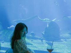 -亚特兰蒂斯•OSSIANO奥西亚诺海底餐厅