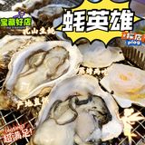 三人同行一人免单|[糖果]同价位生蚝天花板 新鲜饱满 产地空运