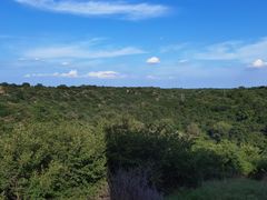 -大青沟风景区