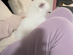 -飞行喵MR PILOT|猫舍·猫咖(静安大融城店)