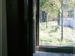 -东园小馆·早茶·淮扬小炒(宋夹城店)