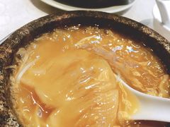 红烧翅-凤城礼记鱼翅海鲜酒家(新马路总店)