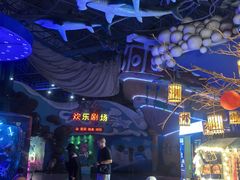 -烟台海昌鲸鲨海洋公园