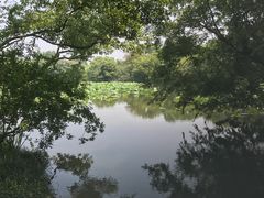 -西湖外事游船(花港观鱼码头)