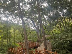 -大岭沟猕猴桃谷风景区