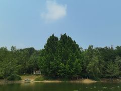 -云岗森林公园
