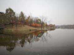 -东郊湿地公园