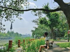 -成都市活水公园