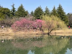 -白塘生态植物园