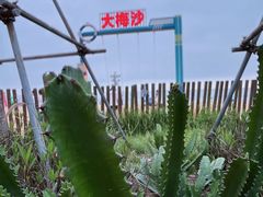 -大梅沙海滨公园