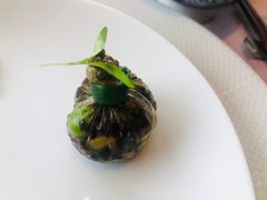 -子福慧(虹桥店)