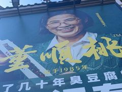 -董顺桃小粒臭豆腐(太平街一店)