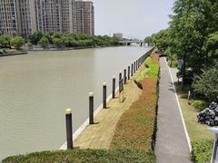 -陈家山荷花公园