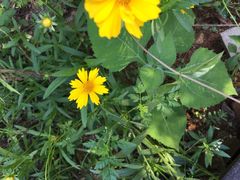 -普陀山风景名胜区-千步大沙