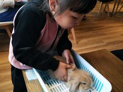 -藦茜花园宠物主题亲子互动体验馆(国顺东路店)