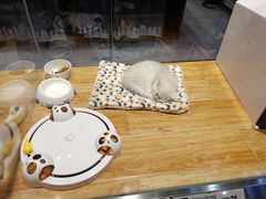 -狗道宠物(常熟印象城店)