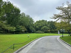 -上海瑞金洲际酒店