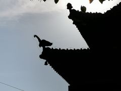 -承德避暑山庄景区