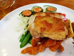 -more than meow吴止猫主题餐厅(承德 中船汇店)