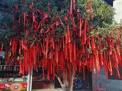 -东钱湖小普陀景区