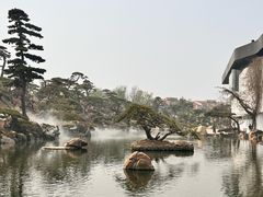 -罗红摄影艺术馆