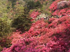 -木兰云雾山