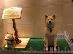 -大江户·温泉洗浴(浑南店)