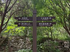 -佛慧山