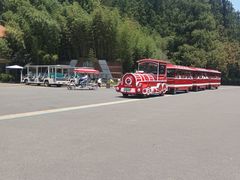 -日照海滨国家森林公园