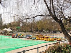 -莲湖公园