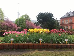 -北海道厅旧本厅舍(旧本庁舎)