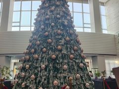 -天津海河悦榕庄·Lobby Lounge大堂吧