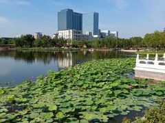 -西海子公园