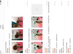 -喵宠乐园·撸猫互动·猫舍