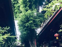 -叩齿古寺