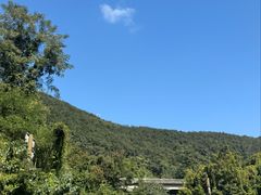 -西双版纳原始森林公园