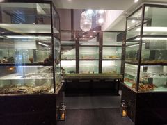 -甄御•海鲜新青岛菜(麦岛店)