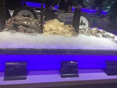 -加餐海鲜自助(集美银泰百货店)